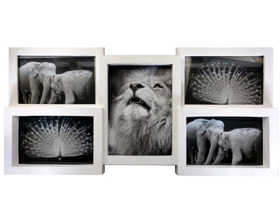Portarretratos de plástico para 5 fotos