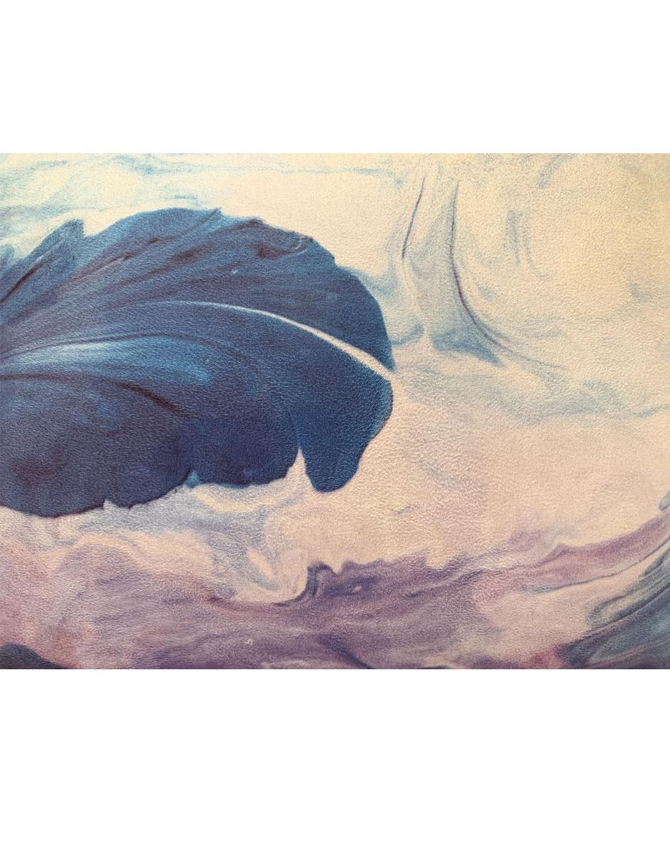 Cojín decorativo sublimado Agota azul con morado 6