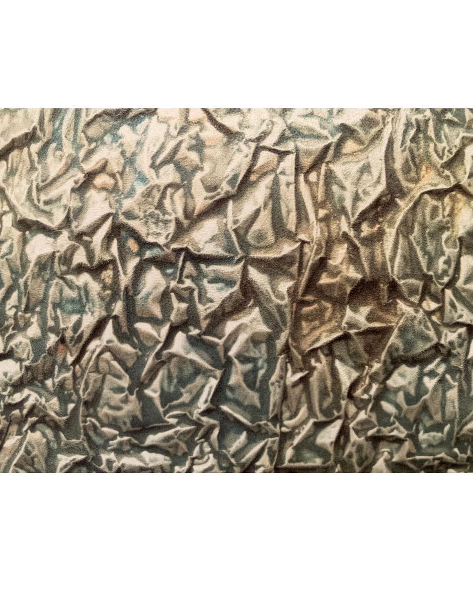 Cojín decorativo Sublimado Andre 4