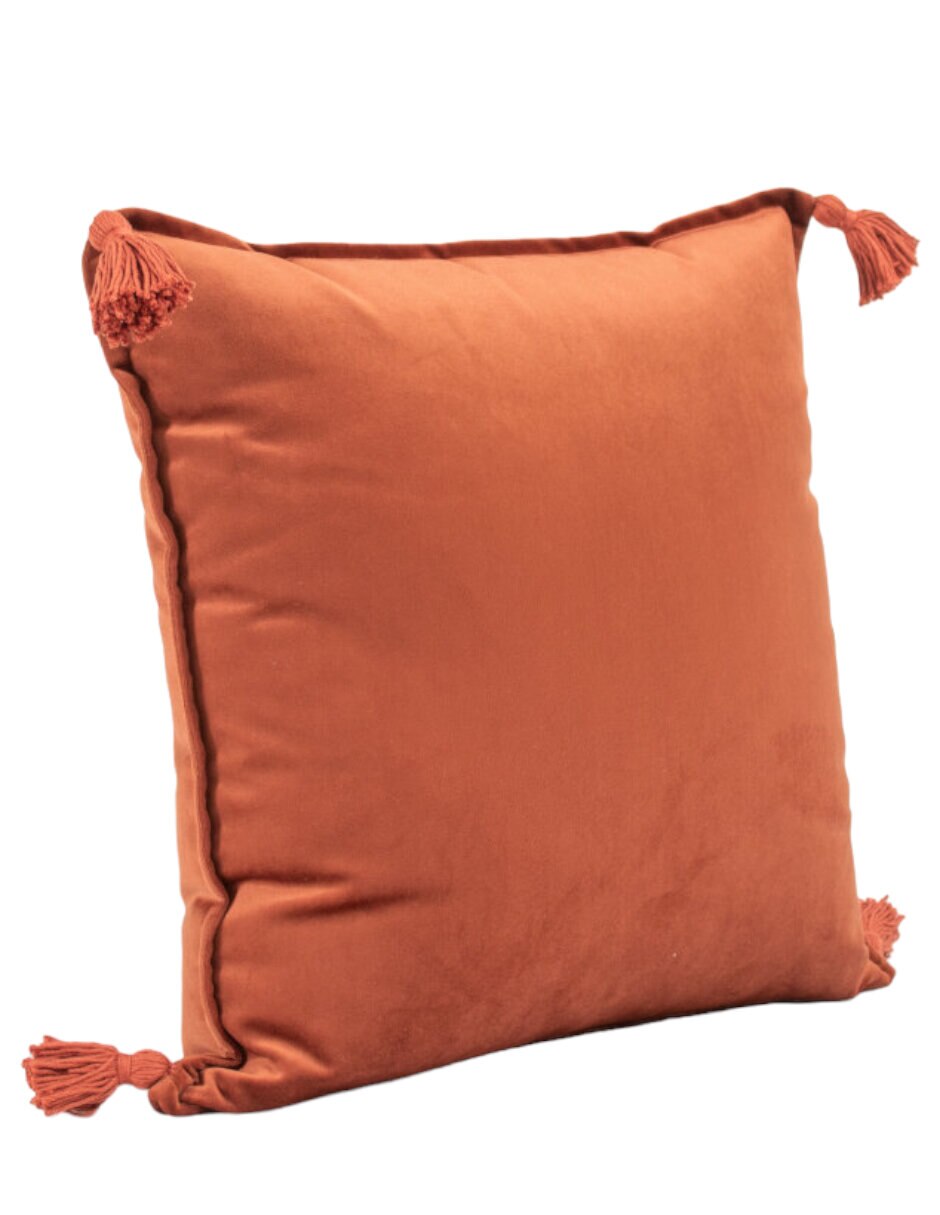 Cojín decorativo Borlas 2