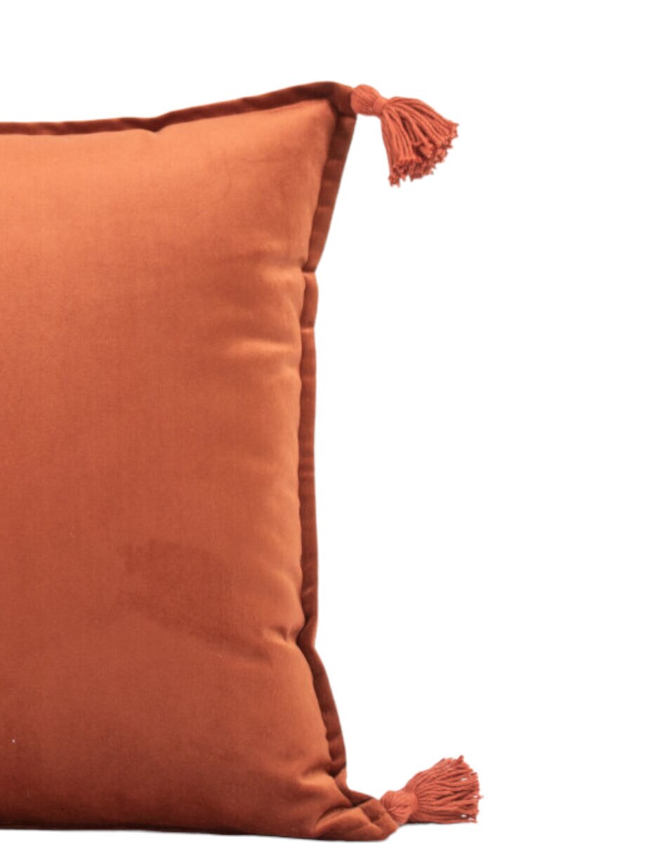 Cojín decorativo Borlas 3