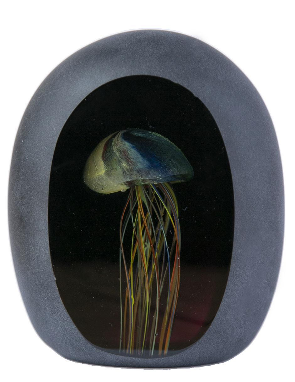 Figura decorativa de cápsula de vidrio 1