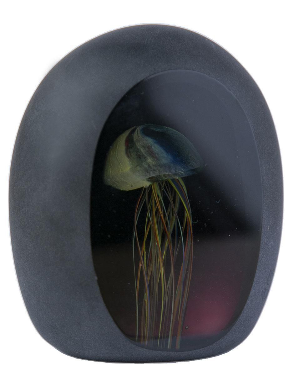 Figura decorativa de cápsula de vidrio 2