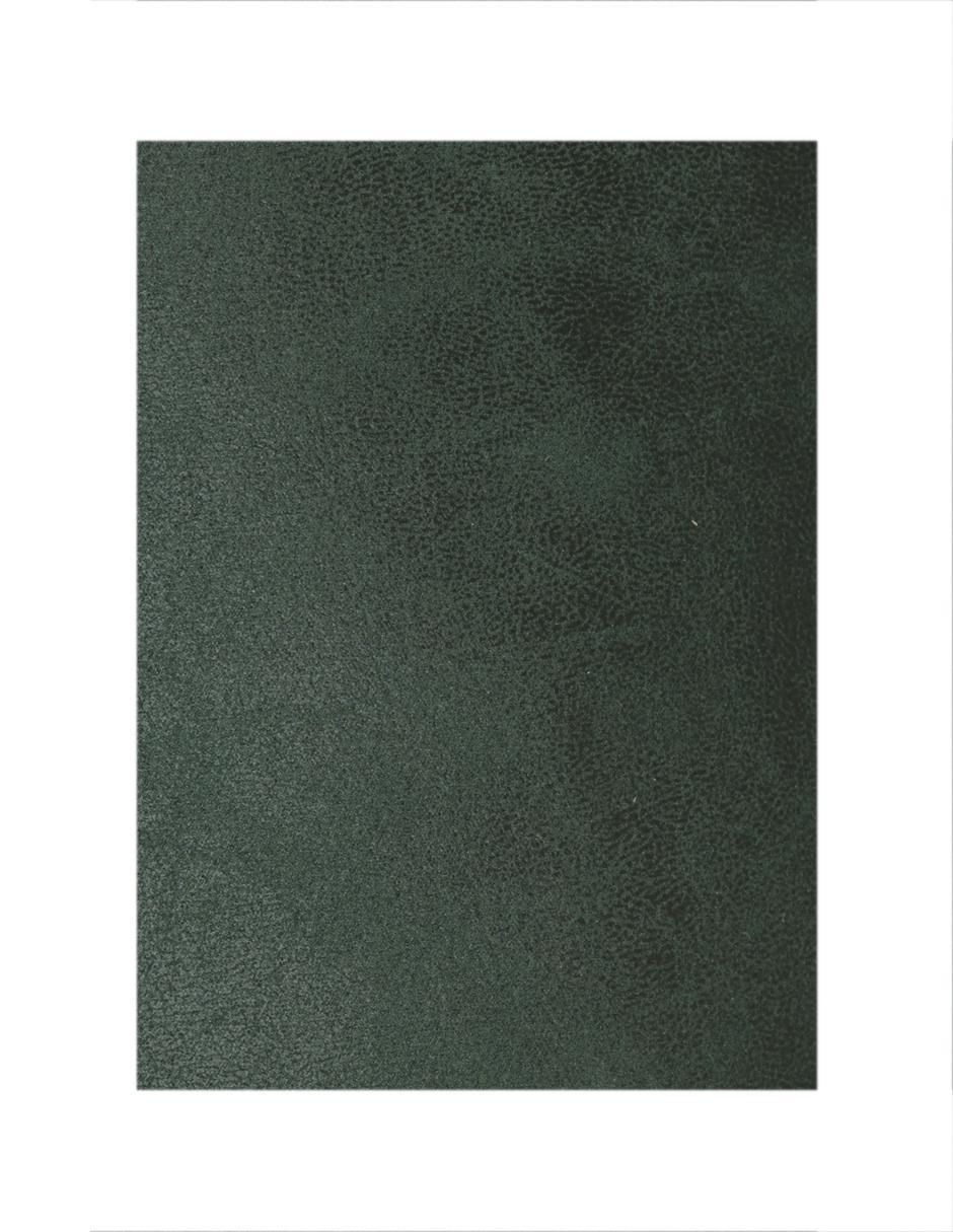 Set de cojín decorativo napa olive
