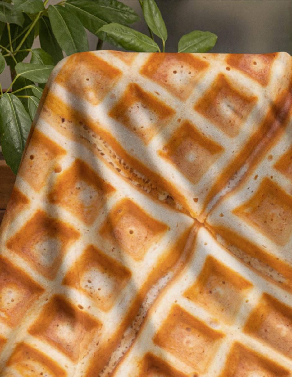 Frazada de tejido plano Waffle 2