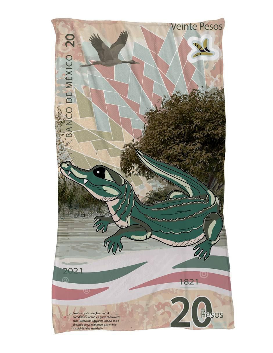 Frazada de tejido de punto Billete De 20 Cocodrilo Frazada de tejido de punto Billete De 20 Cocodrilo