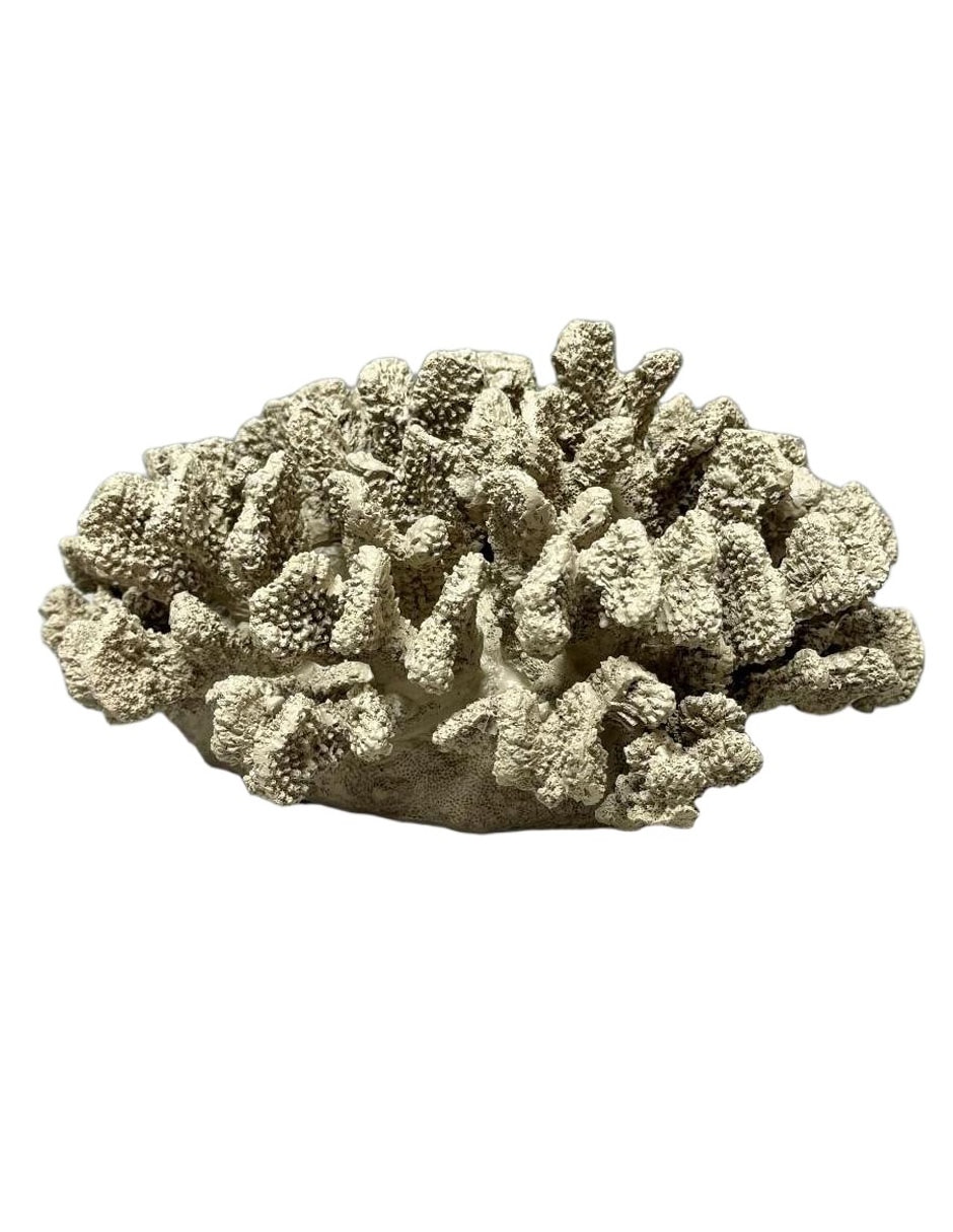 Figura de coral