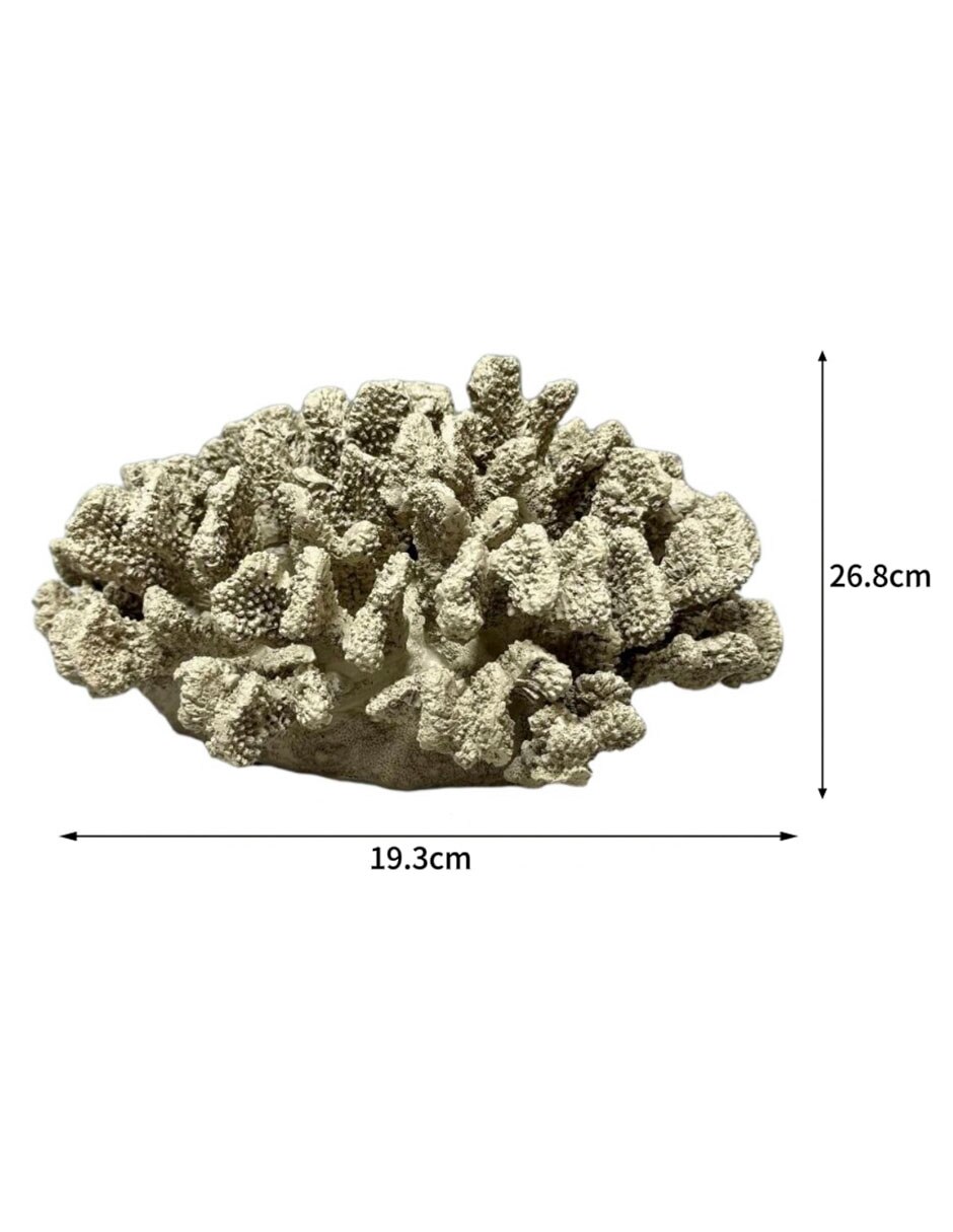 Figura de coral 4