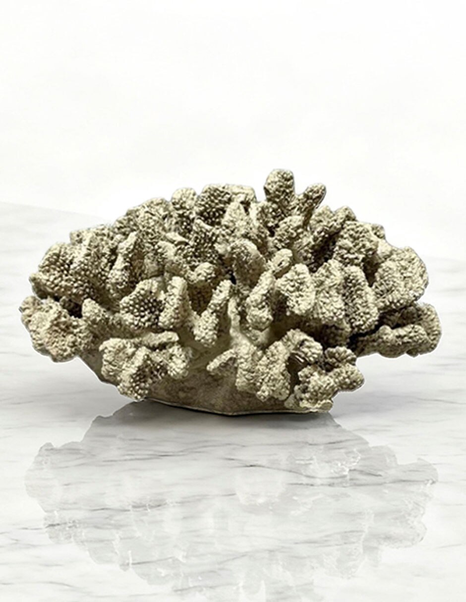 Figura de coral 3