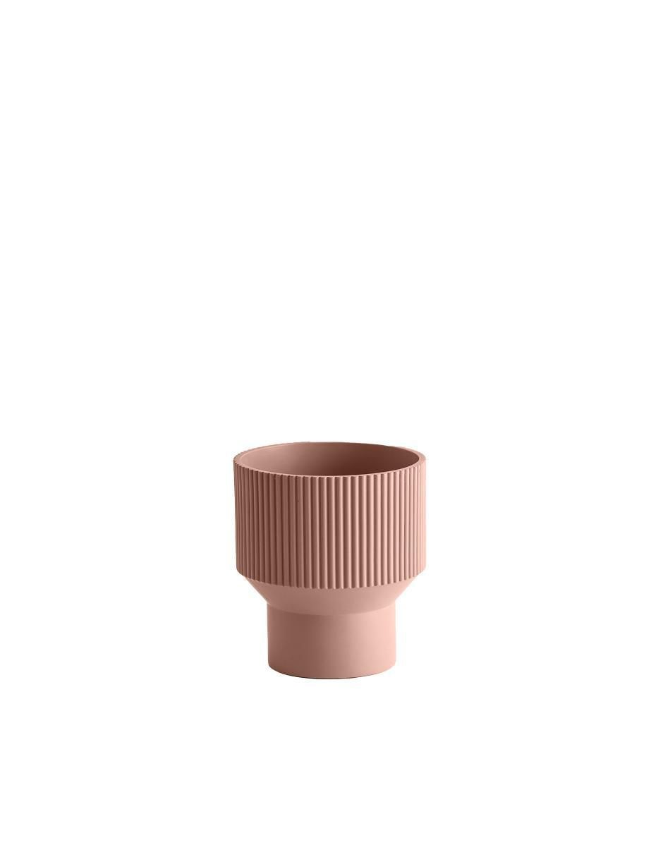 Rosa 6