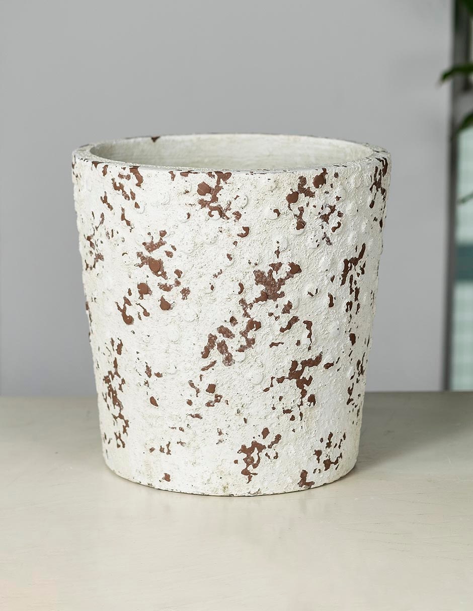 Maceta Oasis Floral de cemento Maceta Oasis Floral de cemento