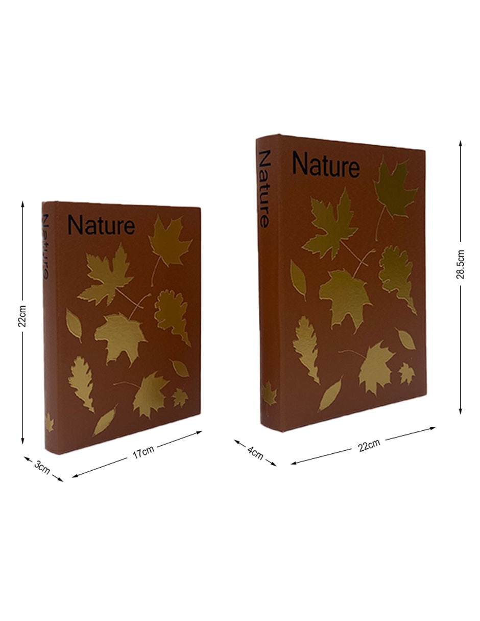 Set caja decorativa libros con 2 piezas 2