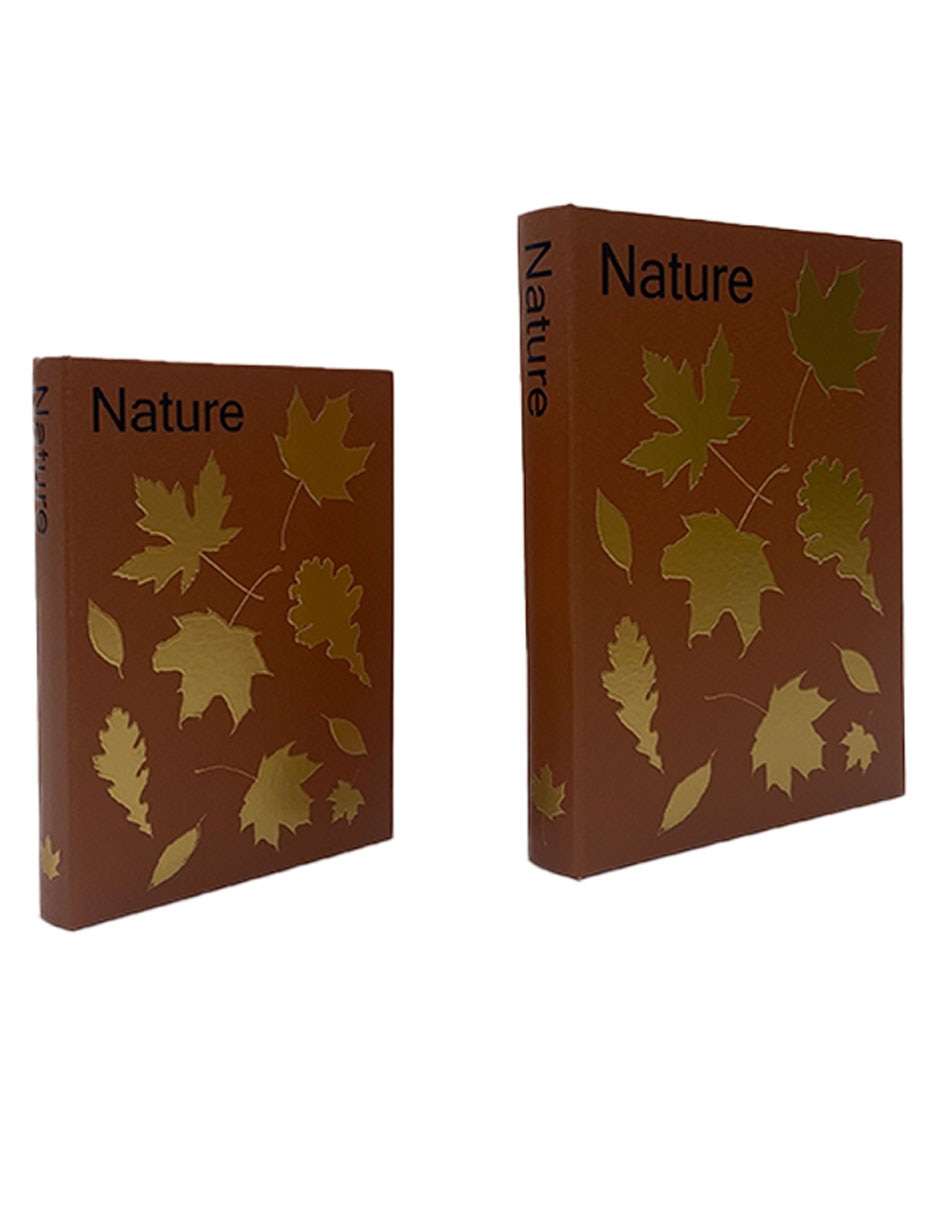 Set caja decorativa libros con 2 piezas