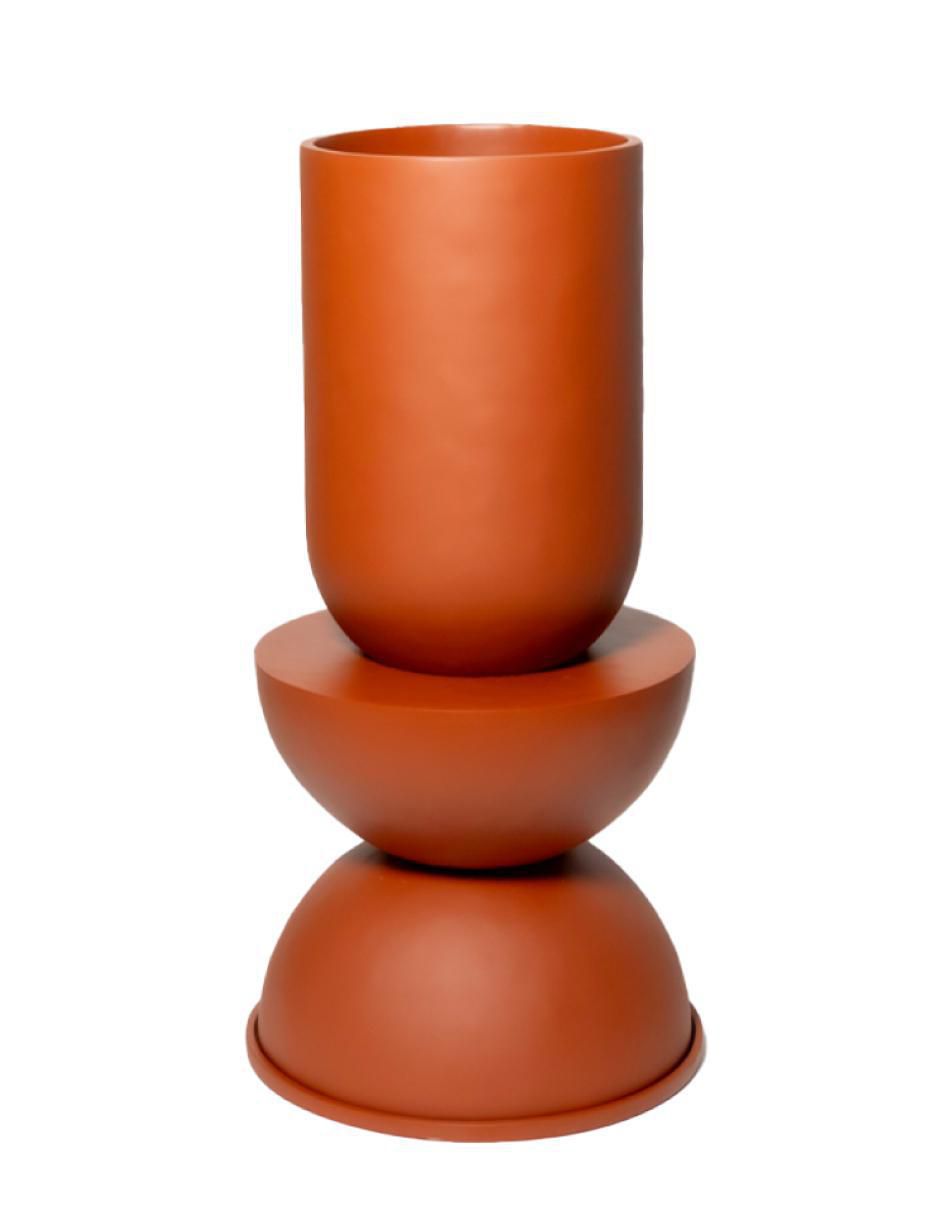 Rosa 5