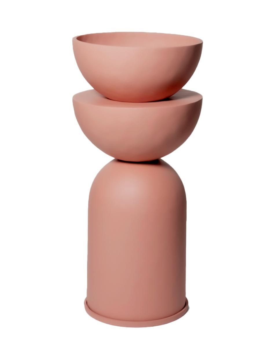 Rosa 2