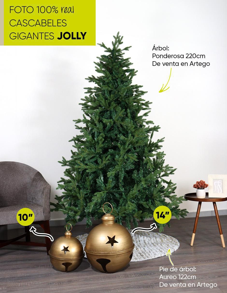 Pie de árbol 3