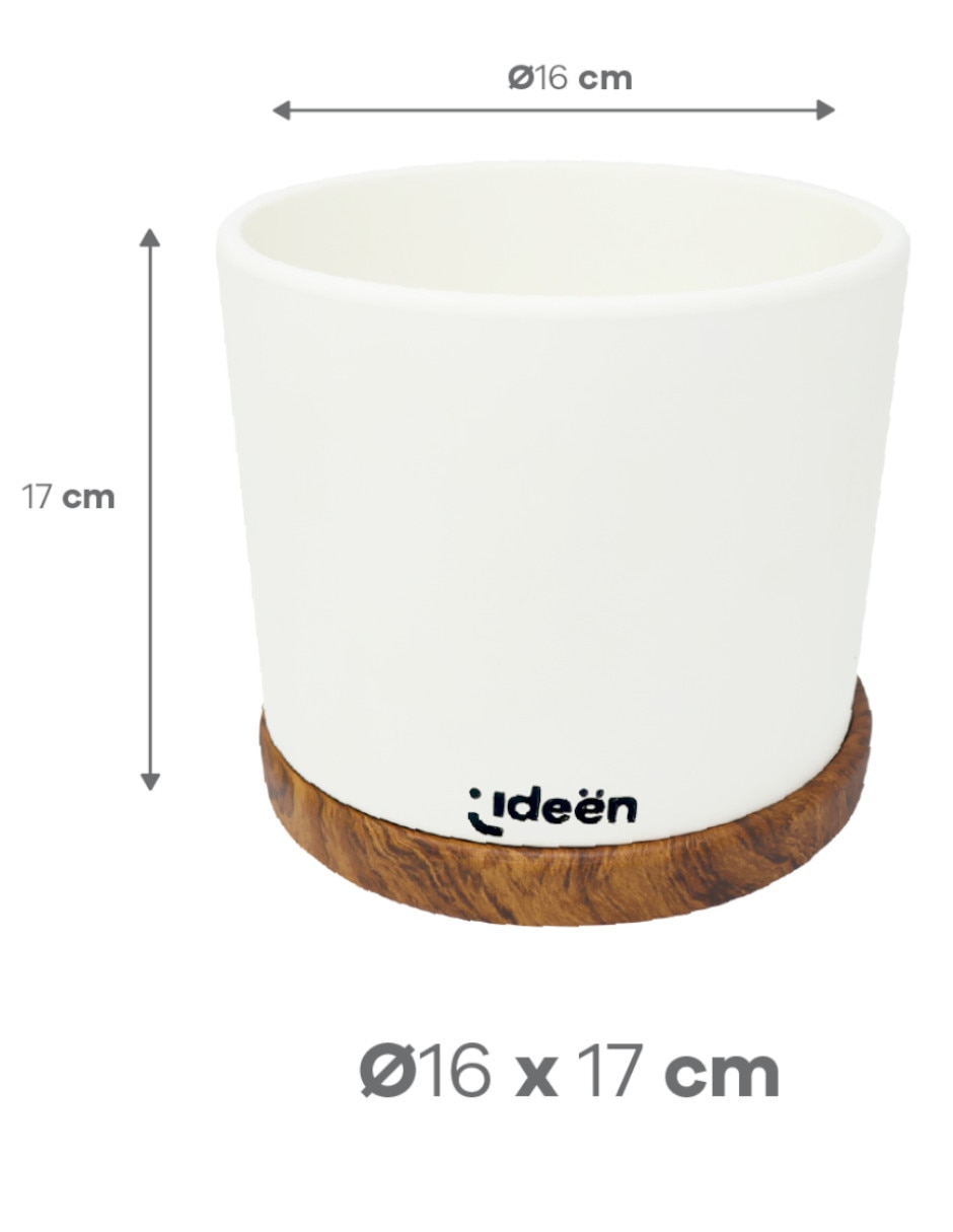 Set maceta de arcilla 5