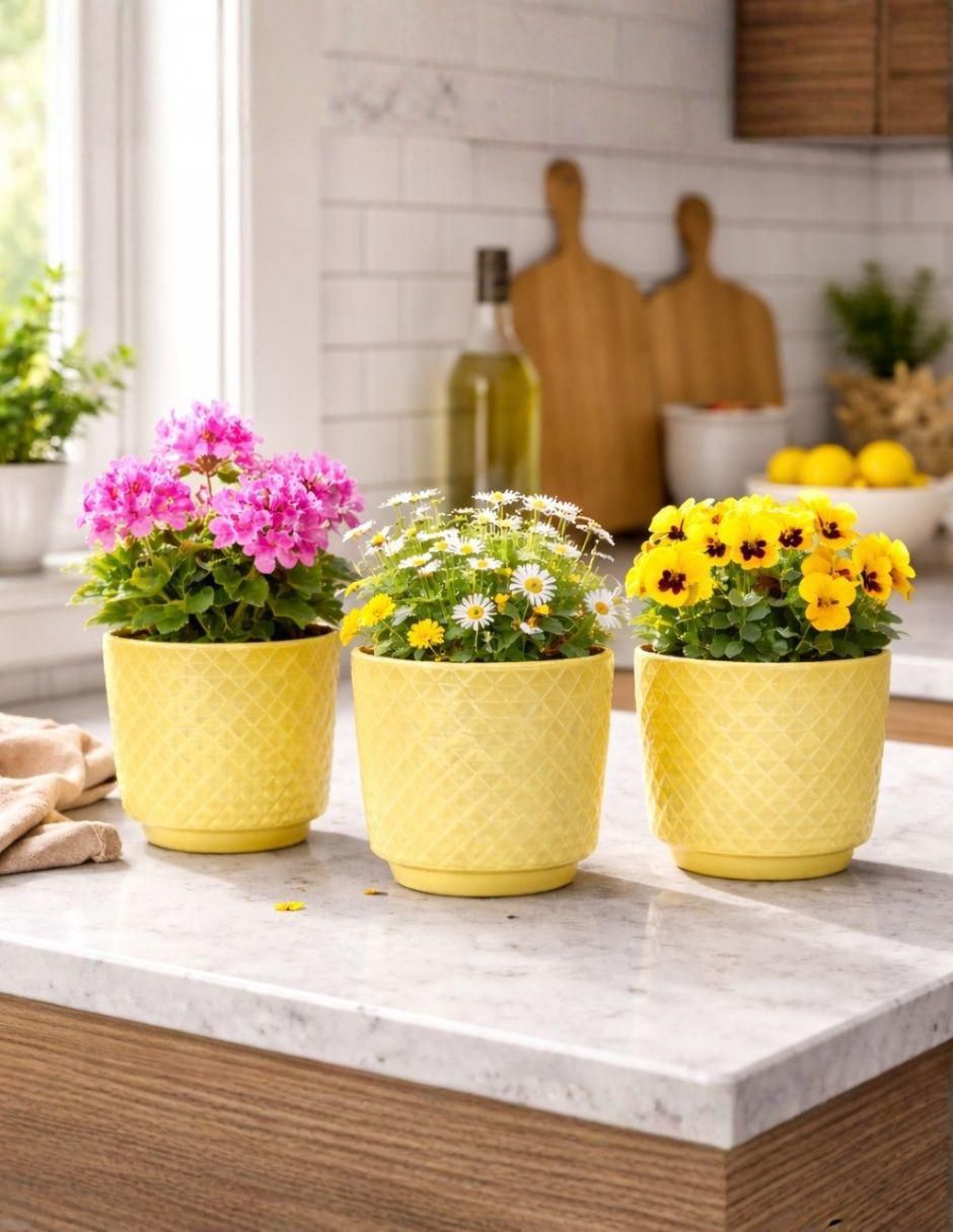 Set maceta ideen artexdo de arcilla