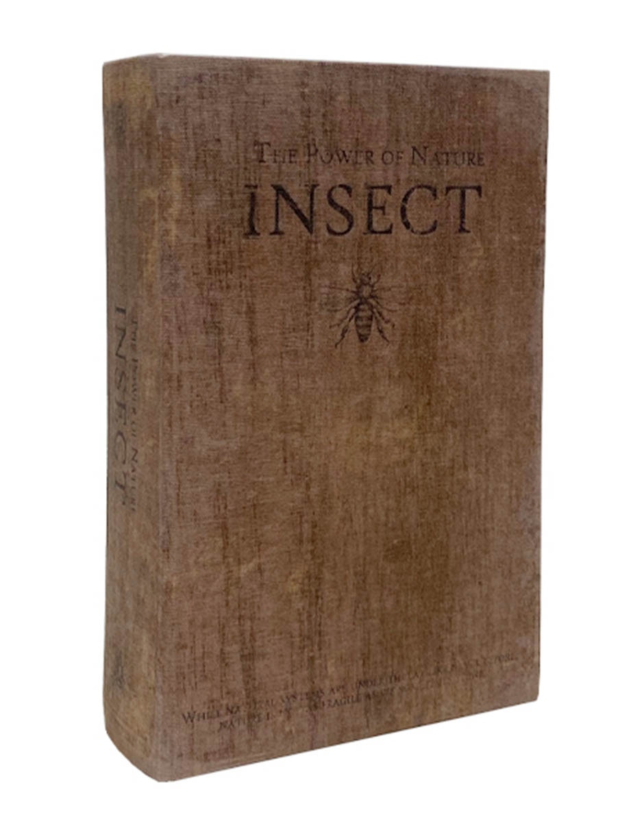 Caja decorativa bluebell & co libro Caja decorativa bluebell & co libro